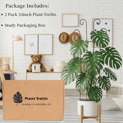 2 Pack 33 inch Plant Trellis for Climbing Plants Outdoor/Indoor, Expandable Large Metal Garden Trellis for Climber Plants, Sturdy Houseplant Support Stakes for Potted Vine Ivy Pothos Monstera - size: 33in/2Pack,Style 2