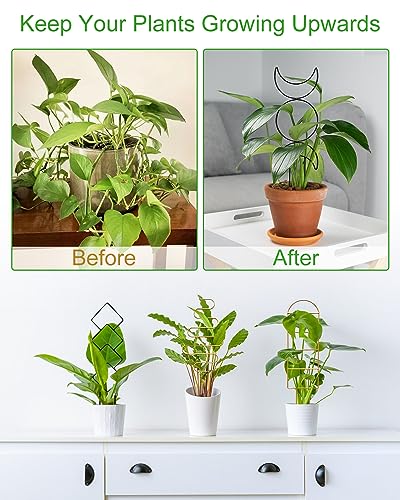 Small Indoor Trellis for Potted Plants, Pothos Plant Climber Support, Black - color: Black
