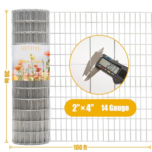 Hot Dip Galvanized Welded Wire Fences 36in x 100ft, 2 inch x 4 inch 14GA Garden Fencing Rolls, Metal Garden Border Fence for Yard Vegetable Plant Protection. - color: Galvanized, size: 2"x4" 14GA 36" x 100'
