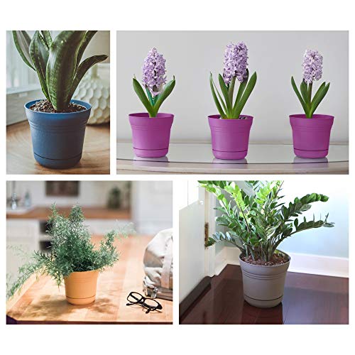 Bloem Saturn Planter with Saucer, 10", Calypso (SP1027) - color: Calypso, size: 10"