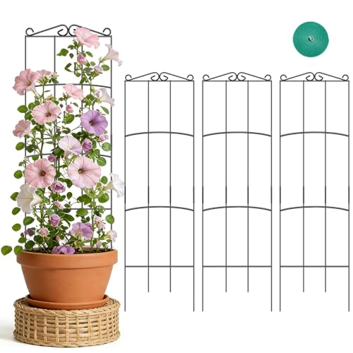 Trellis for Climbing Plants Indoor, 4 Pack 31'' Metal Plant Trellis Indoor for Potted Plants, Sturdy Plant Support Outdoor for Ivy Pothos Monstera Hoya Flower Vine, Rectangular Shape - size: 31'' Rectangular Shape