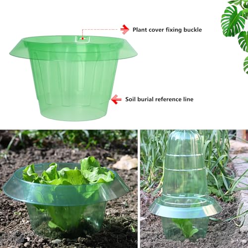 10 Pack Slug Collars for Plants
