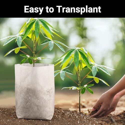 Nursing Growing Pouch, 200pcs 11 x 11.8 in Plant Non-Woven Nursery Bags Large, Fabric Seedling Plant Grow Bags, Seed Starting Planting Growing for Home Garden Supply - color: White, size: 11"x11.8"/Pack of 200