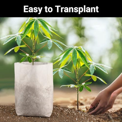 Nursing Growing Pouch, 200pcs 11 x 11.8 in Plant Non-Woven Nursery Bags Large, Fabric Seedling Plant Grow Bags, Seed Starting Planting Growing for Home Garden Supply - color: White, size: 11"x11.8"/Pack of 200