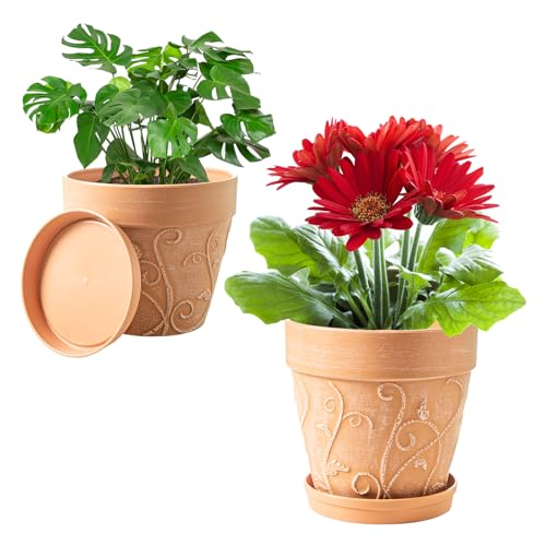 Melphoe Plant Pots Indoor with Drainage & Saucer, 2Pack 7/8 inch Flower Pots Outdoor Planters for Indoor Plants Garden Home Decor Cactus Succulent, Rigid Plastic (Imitation-Terracotta) Vine-Embossed - color: Terracotta Color, size: 7/8 inch