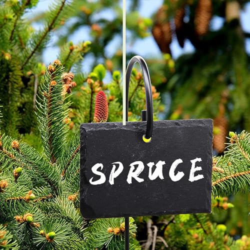 Slate Plant Labels Garden Markers Signs Labels with Stainless Steel Stake & Marker Pen Waterproof Slate Plant Labels for Flowers, Herbs, Potted Plants, Seed (Rectangular, 10PCS) - size: 10PCS, style: Rectangular