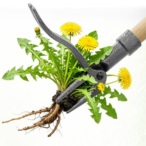 Stand Up Weed Puller, Adjustable Bamboo 4-Claw Steel Garden Weeder