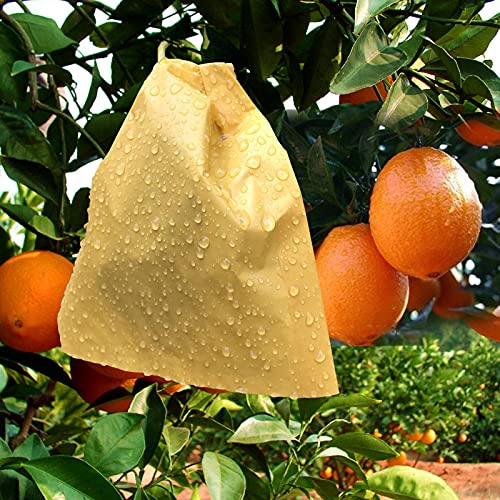 Fruit Protection Paper Bags 100pcs, 6.2X7.7inch, Suitable for: Oranges, Peaches, Apples and Other Fruits and Vegetables, Orchards, Frosts, Plant Covers (16x19.8) - size: 16x19.8 cm