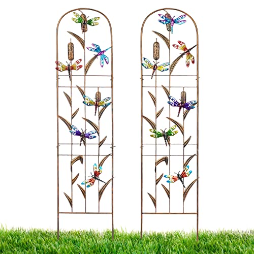 2 Pack Metal Garden Trellis for Climbing Plants - style: Dragonfly