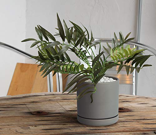 D'vine Dev 2-Pack Ceramic Pots with Saucers, Grey, 6 in, 94-V-C-3 - color: Gray, size: 6 Inch