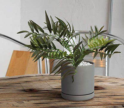 D'vine Dev 2-Pack Ceramic Pots with Saucers, Grey, 6 in, 94-V-C-3 - color: Gray, size: 6 Inch