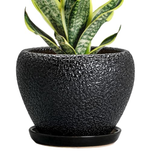 Ceramic Planter 6 Inch, Ceramic Plant Pots Indoor, Black - color: Black, size: 6 Inch