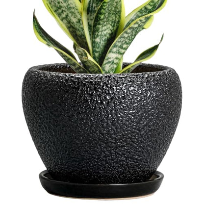 Ceramic Planter 6 Inch, Ceramic Plant Pots Indoor, Black - color: Black, size: 6 Inch