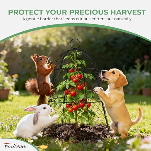 FRUITEAM 6-Pack Large Wire Plant Protectors, 13"x15.8"H Garden Cloches - size: 6 Pcs
