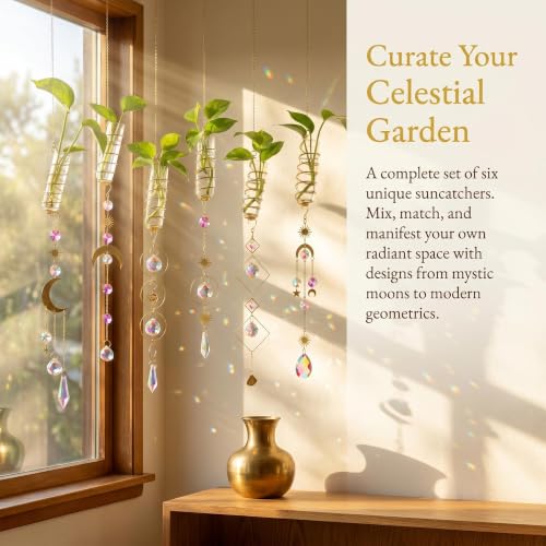 6pcs Plant Propagation Station Hanging Suncatcher with Chain Pendant