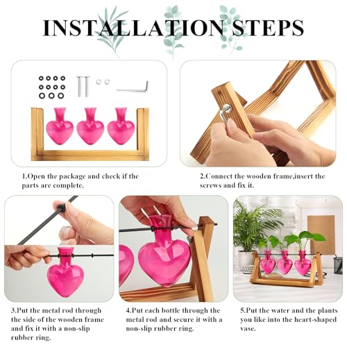XXXFLOWER Plant Terrarium Propagation Stations 3 Heart Shaped Vases - size: 3 Heart Vase