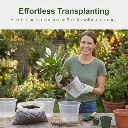 15 Pack 8 Inch Clear Nursery Pots, Large Clear Plant Pots with Drainage - size: 8 Inch-15 Pack