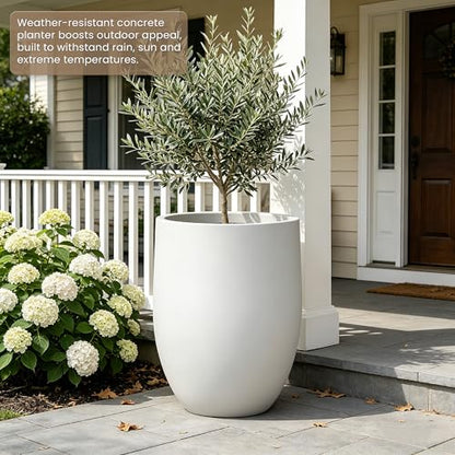 Kante Large Round Bullet White Concrete Planter 21.7" Tall, Outdoor - color: White