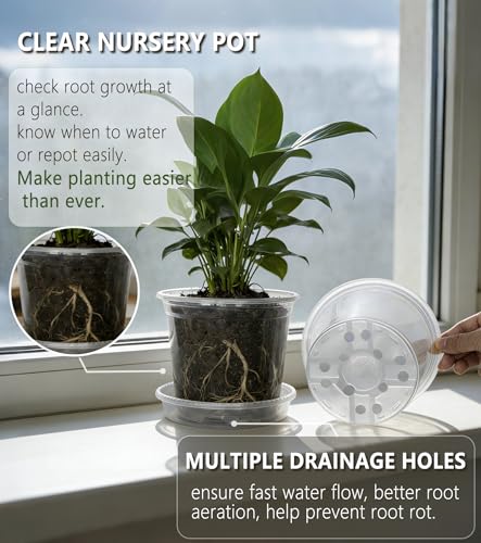 30-Pack Clear Nursery Pots with Saucers (3.5/4/5 Inch) – Transparent Plastic Plant Pots with Drainage Holes and 30 Labels, Assorted Sizes for Seed Starting, Succulents, Indoor and Outdoor Use - color: Pots+ Saucers, size: 3.5/4/5"-30 sets