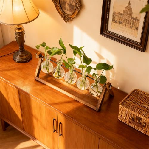 Renmxj Plant Propagation Stations with Wooden Stand & 5 Glass Bulb Vases - size: 5 Bulb Vase