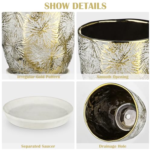 Oairse 6 +5 inch Ceramic Planter Pots Set of 2 Small Round Flower Pots with Drainage Hole and Ceramic Tray for Succulents Cactus Indoor Outdoor Garden Home Windowsill - color: Gold