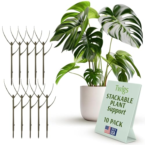 Twigs GA Stackable Plant Support Stakes, Moonstone, 10-Pack, 17" L - color: Moonstone, size: Stackable (10 Pack)