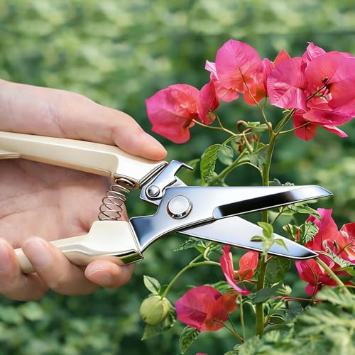 Pruning Shears, Garden Scissors for Plant, Tip Pruning Shears for Cutting Flowers, Trimming Plants, Bonsai and Fruits Picking (Straight, 19.3x4.7x1.5cm) - color: Straight