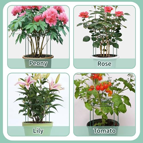 8 Sets Peony Support Cage,14"Diax32"High Heavy Duty Metal Plant Support,Grow Through Hoops Grids with 4 Thickened 5mm Legs,Strong Support Brace for Heavy Blossoms,Flower Support Ring for Peonies,Rose - size: 14"X32"-8PCS