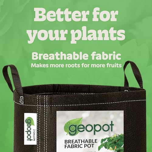 GeoPot 2 Gallon Fabric Grow Bags with Handles for Vegetables, Houseplants, Herbs & Flowers | 10-Pack | Fabric Pots for Outdoors and Indoors, Aerated Fabric Grow Bags - size: 2 Gallon (10-Pack), style: With Handles