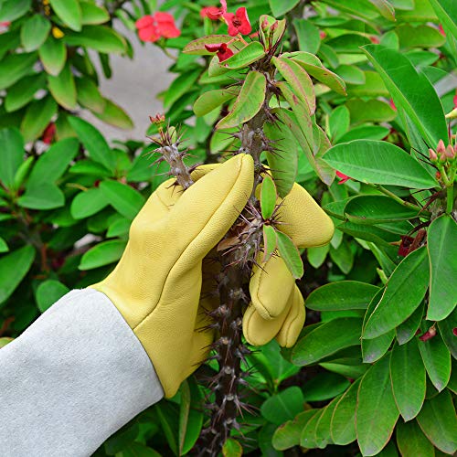 Rose Pruning Gloves for Men/Women, Long Gardening Gloves Thorn Proof, Cactus Glove, Goatskin Leather Planting Gauntlet Garden Working Glove, Gardening Gifts for Gardeners (Small) - size: Small (Pack of 1)