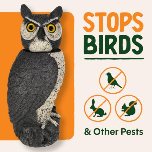 GARDENEER Dalen SOL-R Action Large Solar Fake Owl Decoy to Scare Birds Away - 18" Tall - 360º Rotating Head - style: Solar Powered Great Horned Owl