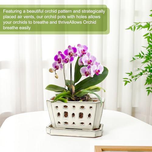 Teenyyou 7 Inch Ceramic Orchid Pot with Holes and Saucer Repotting,White - color: White