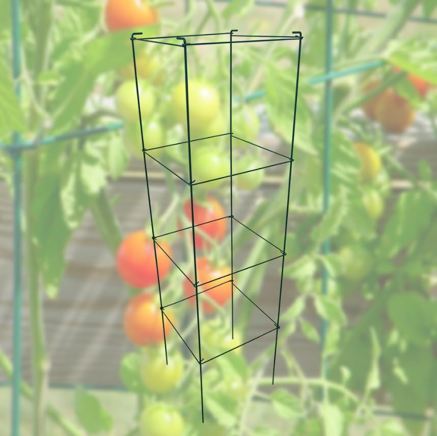 Green Square Folding Tomato Cage Plant Support Stake Tower 12 inch by 46 inch, Pack of 10 Sets - size: 12*46inch Sq-PVC Green-10Pack