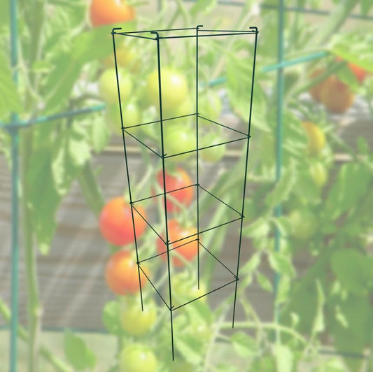 Green Square Folding Tomato Cage Plant Support Stake Tower 12 inch by 46 inch, Pack of 10 Sets - size: 12*46inch Sq-PVC Green-10Pack