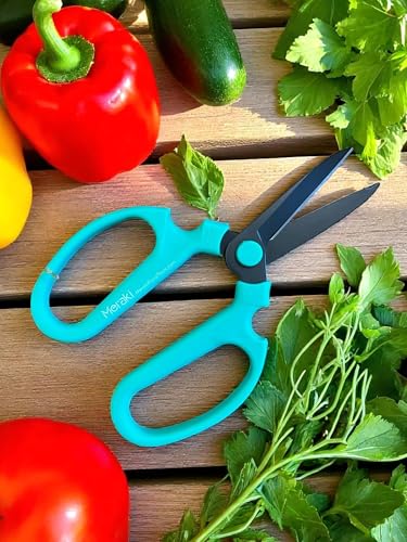 Garden Pruning Shears Scissors Carbon Steel Blades 7.6 Inch, Echinops - Teal - style: 7.6 inch Teal