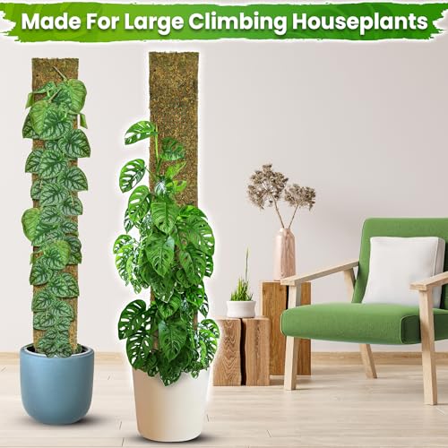 DUSPRO 59" Flat Mesh Moss Pole for Big Climbing Plants, (1pc., 59'') - size: 59" FLAT MOSS POLE