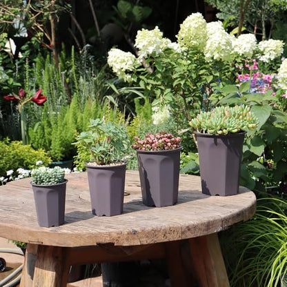 17 PCS 3.55" Plastic Deep Nursery and Seedling Pots, Round Transplant Seed Starter Planter,Gray Color - color: Gray, size: 3.55 inch