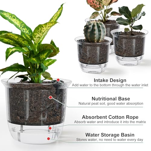 Plant Pots 6 inch Set of 3, Self Watering Pots for Indoor Outdoor Plants - color: 3pcs Large