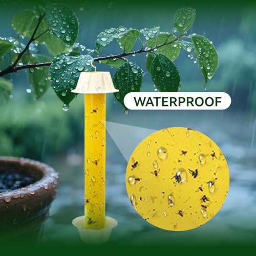 Gideal 2-Pack Yellow Sticky Fly Traps Pest Control for Indoor/Outdoor Use, Gnat Trap for Flying Plant Insect - size: 2 Pack