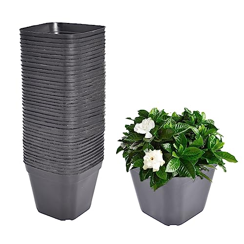 100 PCS Square Plastic Plant Nursery Pots, Seedling Flower Plant Container and Seed Starting Pots, Flower Plant Container for Succulents, Seedlings, Cuttings, Transplanting