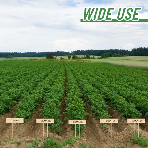Vercraft 10 Set Jumbo Outdoor Plant Label Stakes with Marker, Wood Color