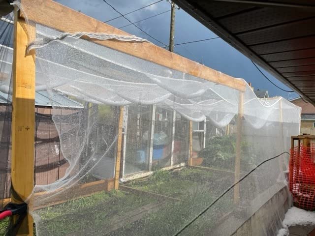 16x30ft/5x9m HDPE Anti Aging Orchard Garden Anti Hail Anti Bird Netting - size: 16 x 30 ft
