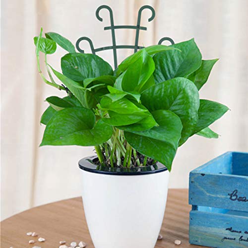 UWIOFF Plant Trellis for Climbing Plants, 6 Pack, Plastic Plant Support