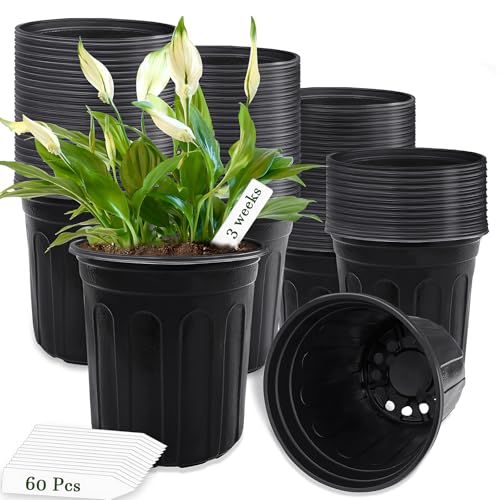 Qyyiguf 60 Pcs 1 Gallon Plant Nursery Pots,Plastic Pots with Drainage Holes,Garden Flower Container Seedling Pot with White Label for Planting,Cuttings,Transplanting,Home Garden(Black)