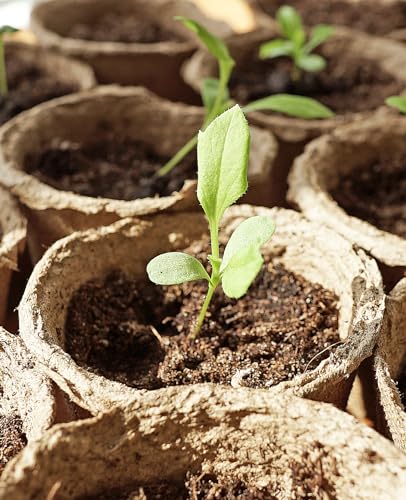 homenote 60 Pcs 4 Inch Peat Pots,Nursery Plant Pots,Seed Starting Pots - size: 4 Inch