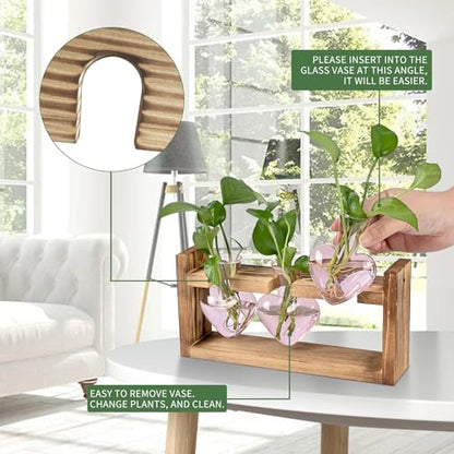 Plant Terrarium Propagation Stations Hydroponics - color: Pink