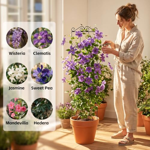 ARIFARO 4Pack 57.5'' Metal Garden Trellis for Climbing Plants Outdoor - size: 57.5 inches