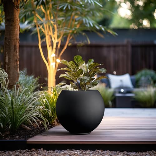 Kante Accent Round Sphere Black Concrete Planter 19.3" Dia, Outdoor - color: Black, size: 19.3"w x 16.5"h