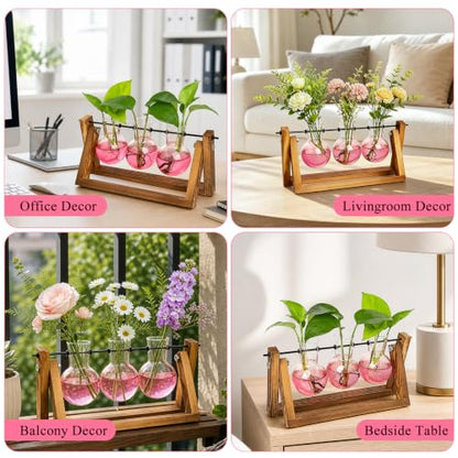 XXXFLOWER Plant Terrarium Kit with Wooden Stand 3 Gradient Pink Bulb Vases - color: Pink