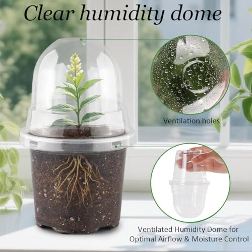 RooTrimmer Transparent Nursery Pots 4Inch with Humidity Domes for Seeds Starting, Clear Plastic Plant Pots with Drainage Holes (4Inch, 30Pcs,Clear Pots with Lids) - color: Clear Pots With Domes-30p, size: 4Inch